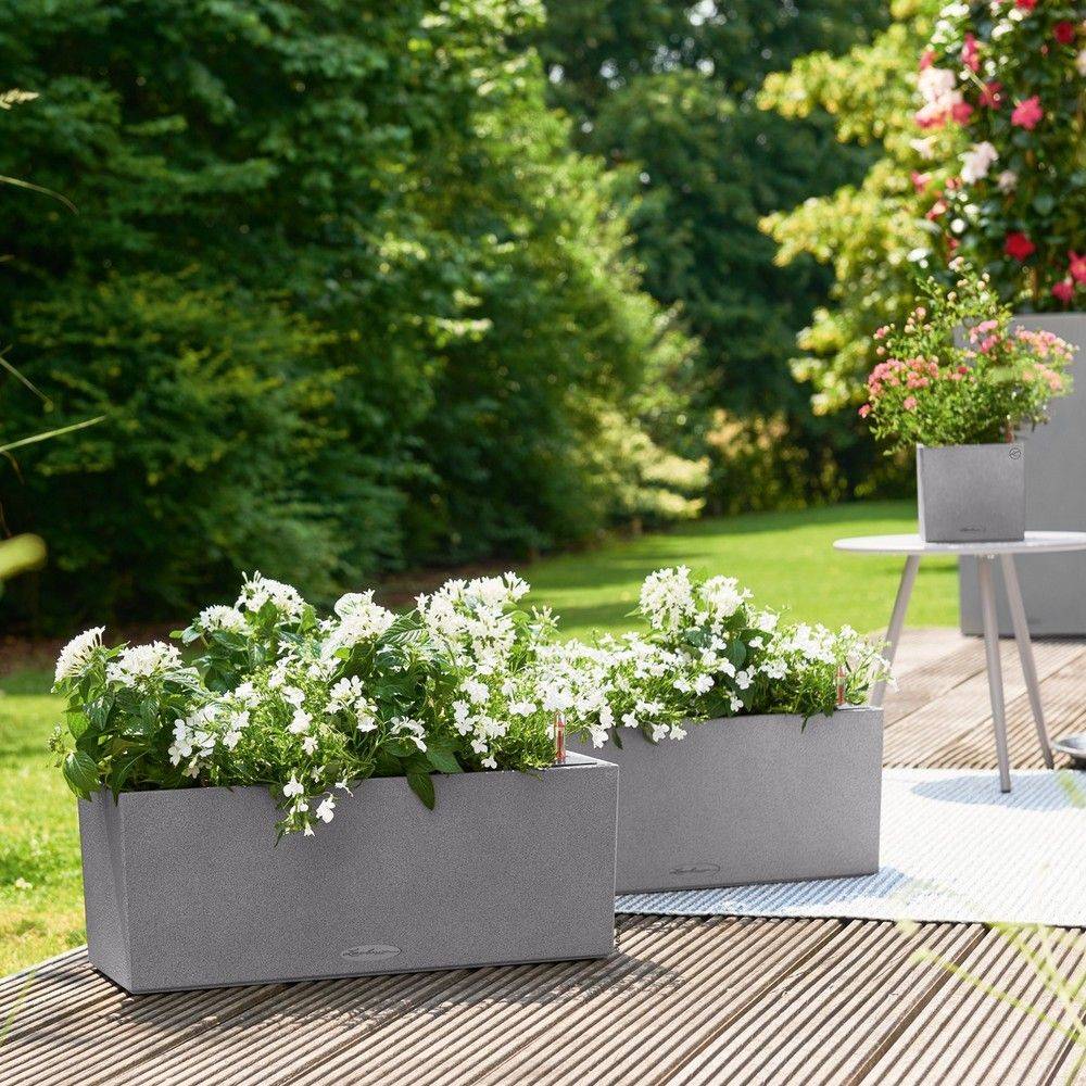Jardinière Lechuza L50 H19 cm gris pierre - Image 3