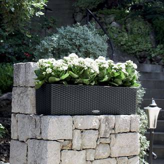 Jardinière Lechuza Balconera Cottage L80 H19 cm granit