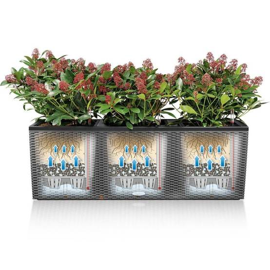 Pot Trio Cottage 40 - LECHUZA - Image 7
