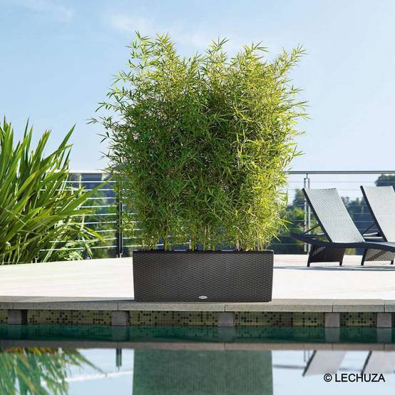 Pot Trio Cottage 40 - LECHUZA - Image 11