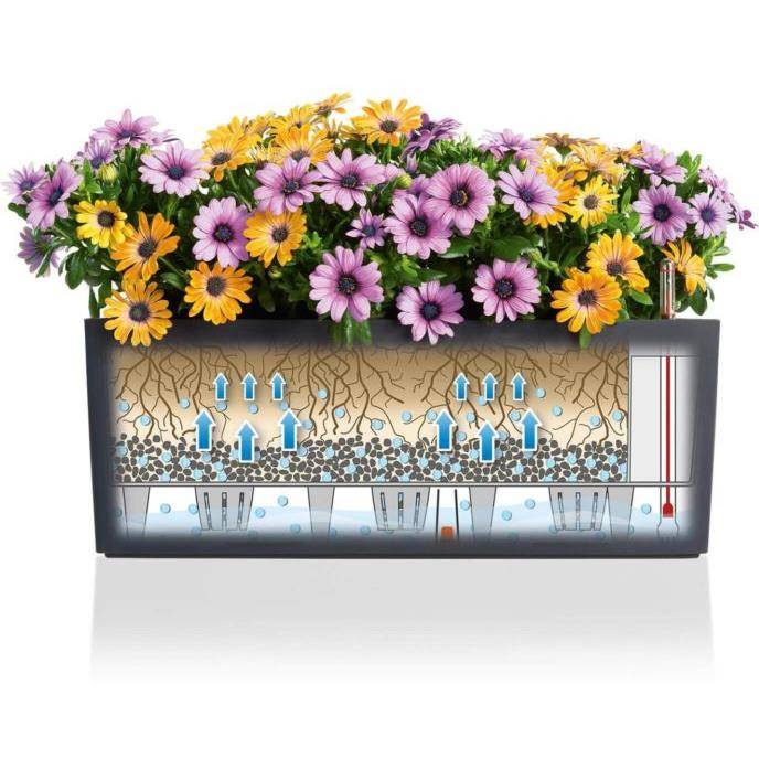 Lechuza - Jardinière Balconera Trend L.50 x l.19 x H.19 cm - Image 6