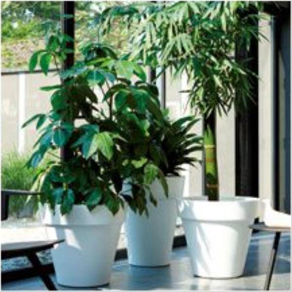 Pot Elho pure round 50 ocre