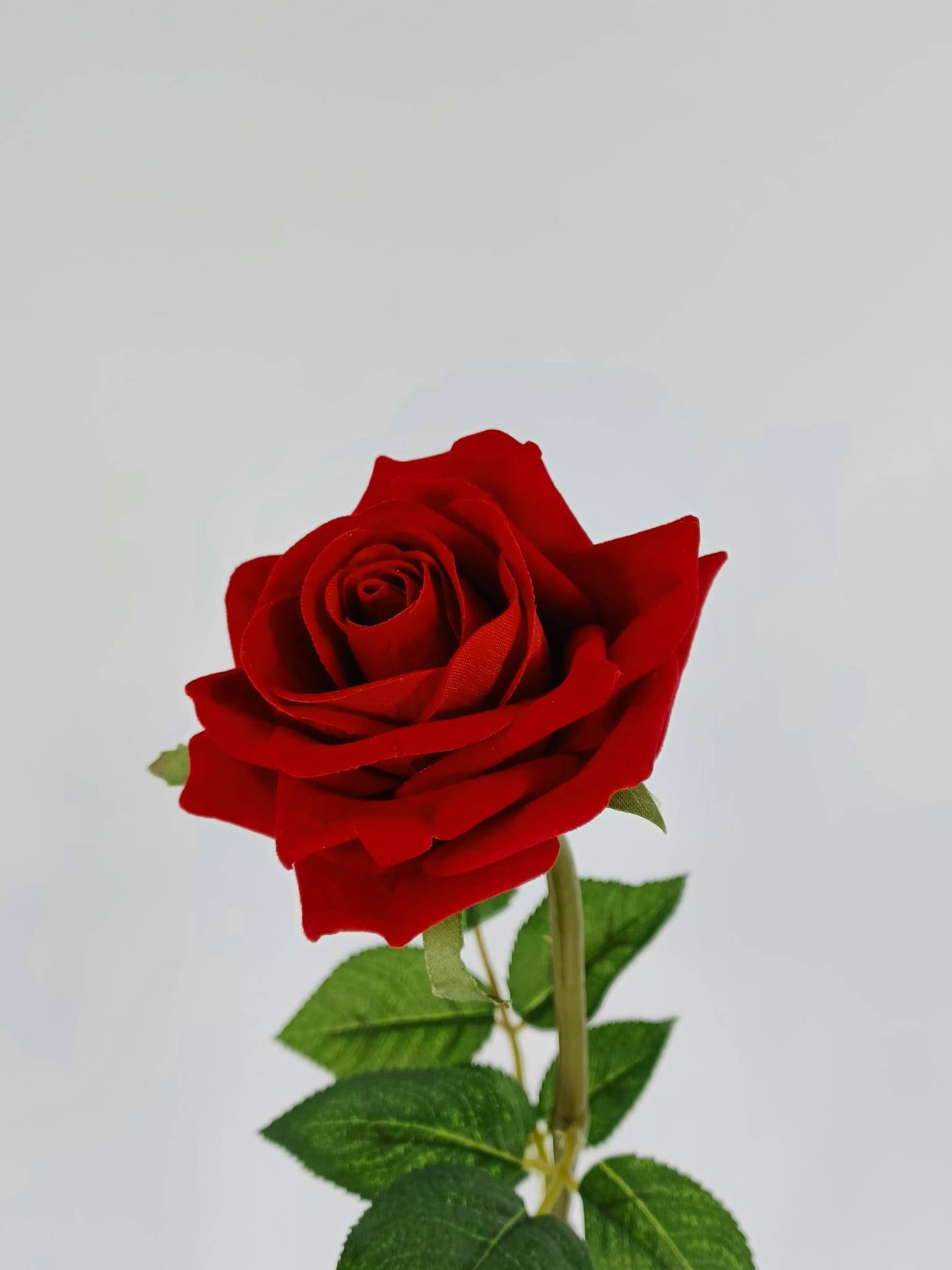 Tige rose ouverte velours rouge artificielle 58 cm  