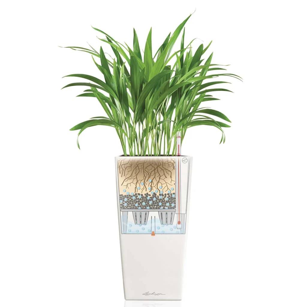 Jardinière Cubico Alto All-In-One – LECHUZA - Image 6