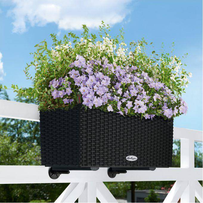 Jardinière Lechuza Balconera Cottage L50 H19 cm Graphit