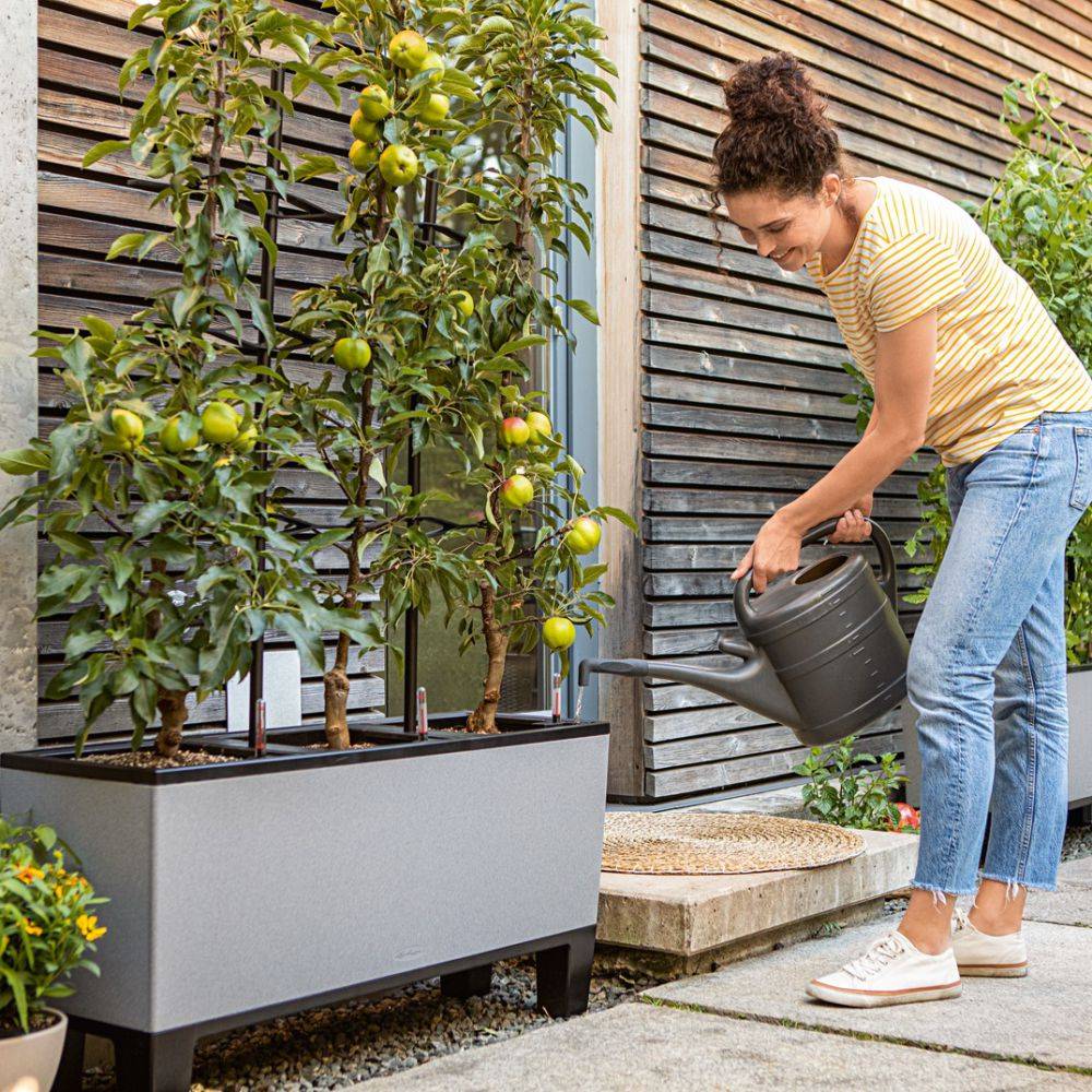 Jardinière TRIO Stone 30 ALL-IN-ONE LECHUZA - Image 5