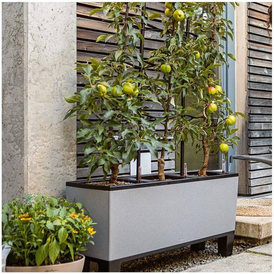 Jardinière TRIO Stone 30 ALL-IN-ONE LECHUZA - Image 4