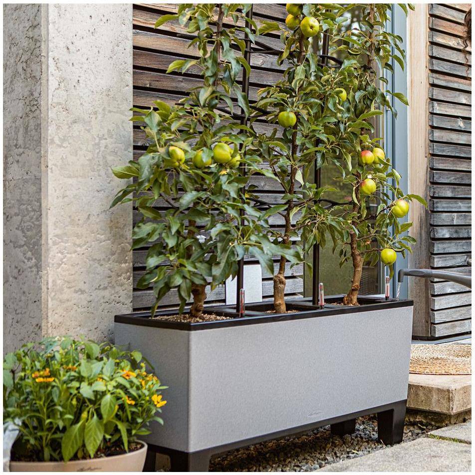 Jardinière TRIO Stone 30 ALL-IN-ONE LECHUZA - Image 4