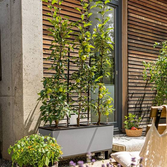 Jardinière TRIO Stone 30 ALL-IN-ONE LECHUZA - Image 1