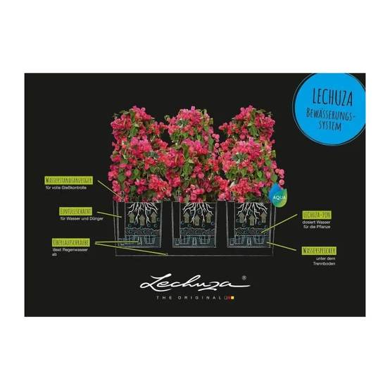 Jardinière TRIO Stone 30 ALL-IN-ONE LECHUZA - Image 13