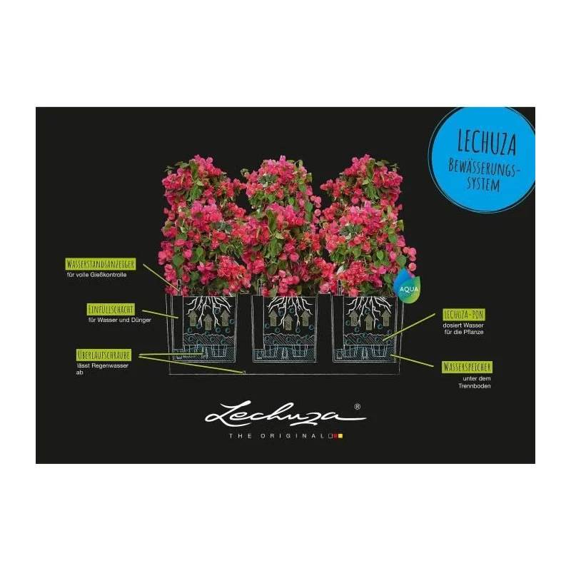 Jardinière TRIO Stone 30 ALL-IN-ONE LECHUZA - Image 13