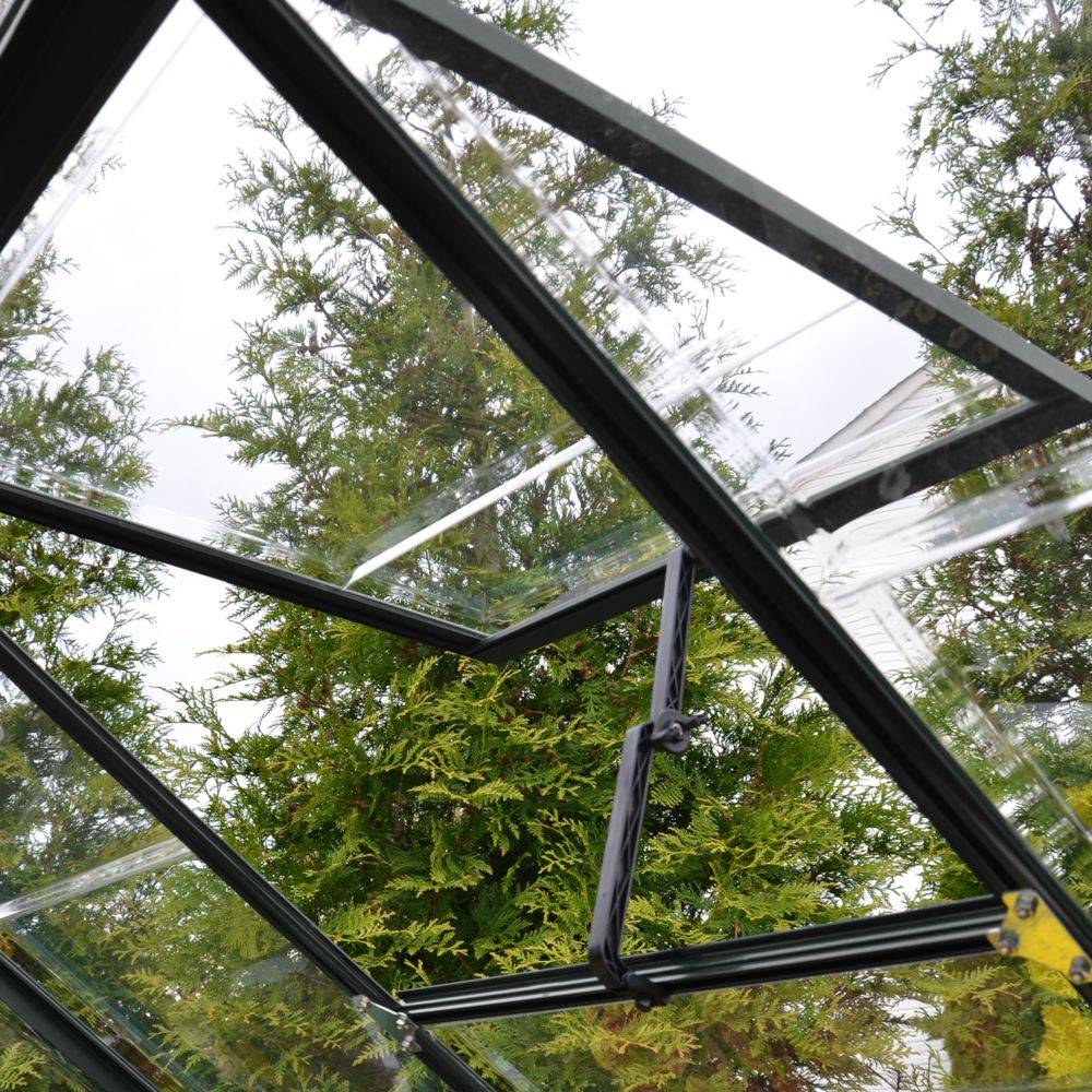 Canopia by Palram - Serre de jardin polycarbonate aluminium anthracite 5,7 m² Harmony avec embase - Canopia by Palram - Image 4