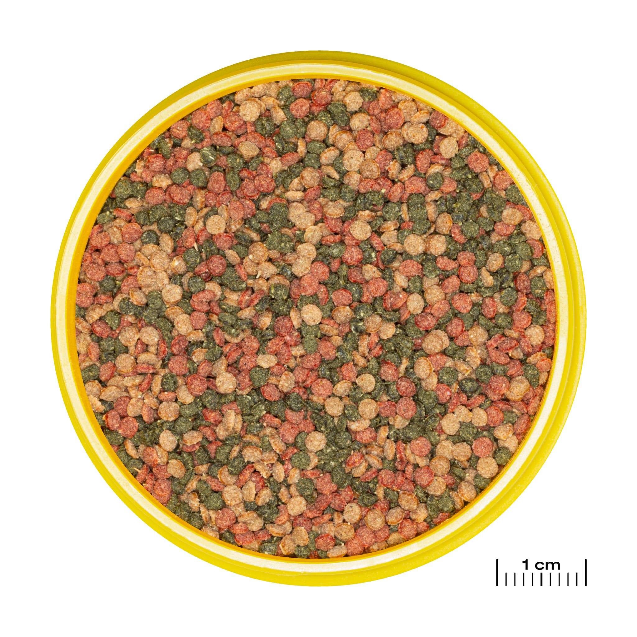 JBL - Granulés de base de taille M pour poisson d'aquarium de 8 à 20 cm - Image 4