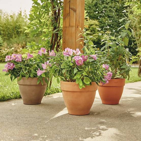 Ecloz - Pot en terre cuite Veneto Cotto ⌀.40 cm - ECLOZ - Image 2