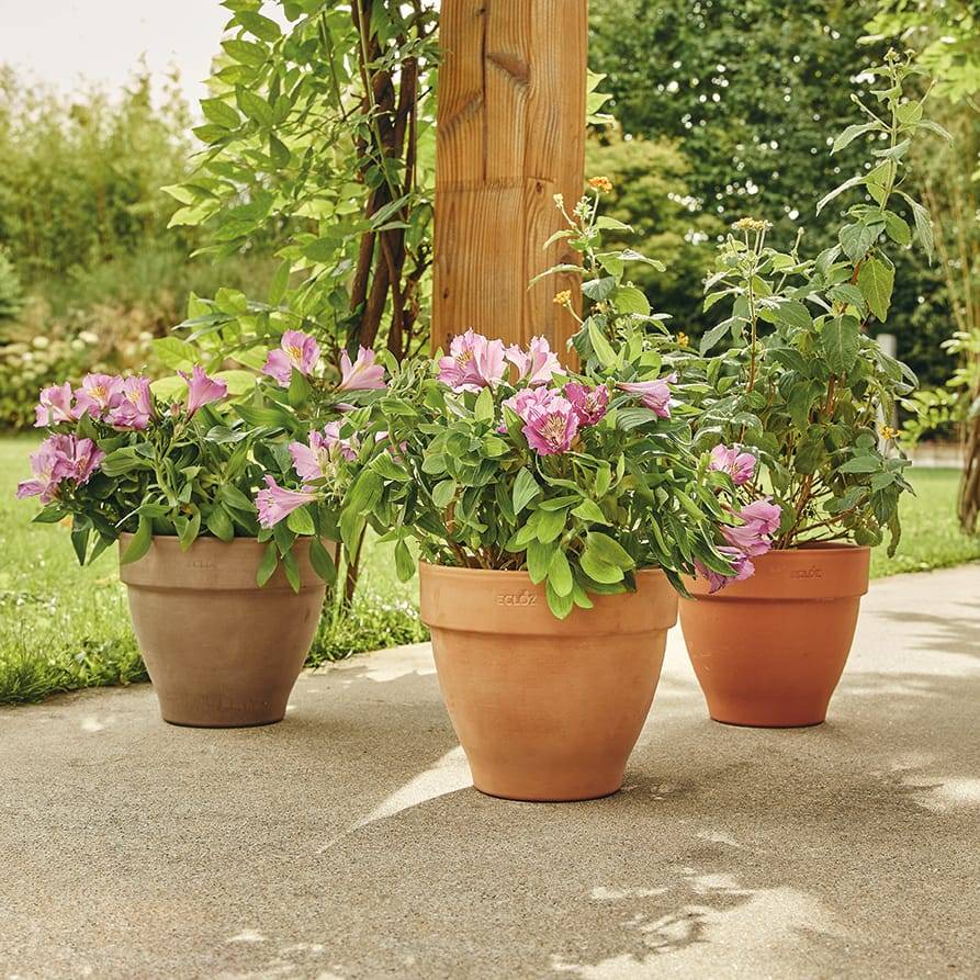 Ecloz - Pot en terre cuite Veneto Cotto ⌀.40 cm - ECLOZ - Image 2