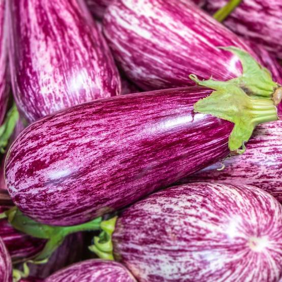 Aubergine Rania - Image 1