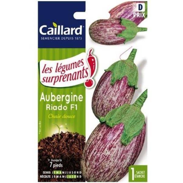 Aubergine Rania - Image 2