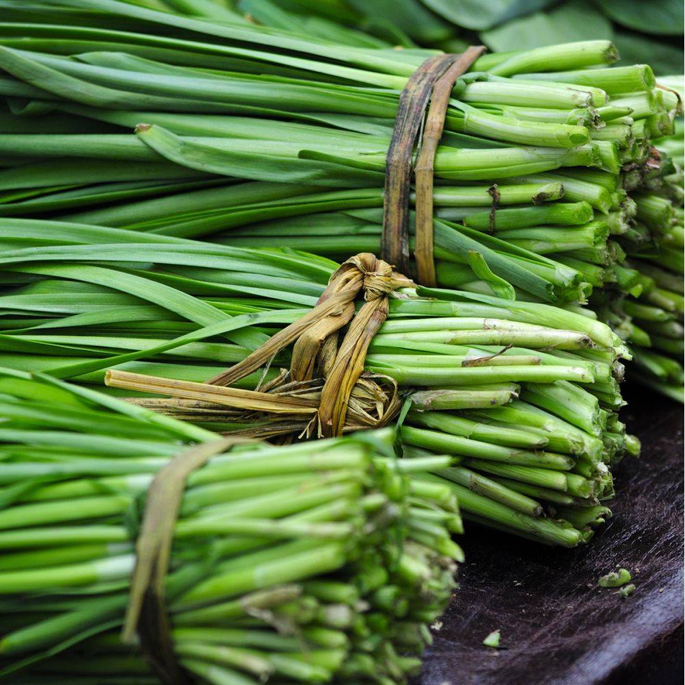 Ciboulette de Chine - Ciboulail - Image 2
