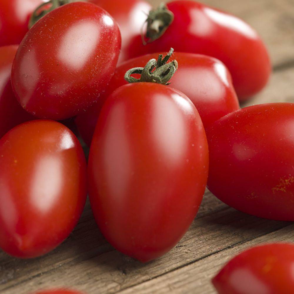 Tomate cerise rouge 'Trilly' F1 - Image 7
