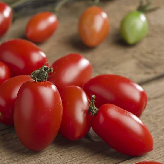 Tomate cerise rouge 'Trilly' F1 - Image 9