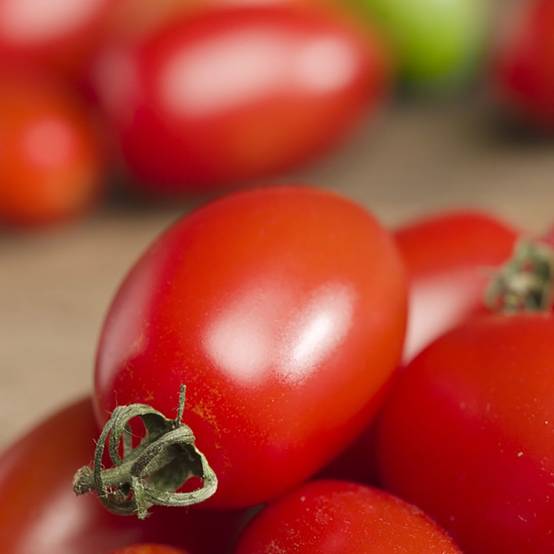 Tomate cerise rouge 'Trilly' F1 - Image 4
