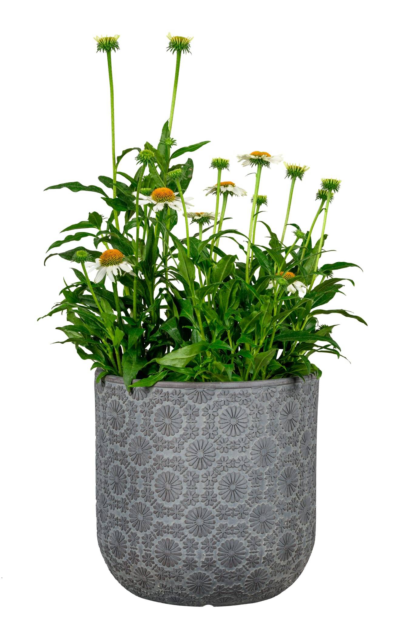 Ecloz - Pot rond Chester Gris foncé en fibre Ø25 x H.25 cm - ECLOZ - Image 1