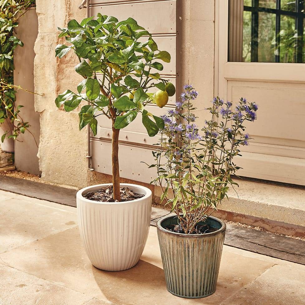 Ecloz - Pot émaillé Atlantique 28cm plusieurs coloris - ECLOZ - Image 1