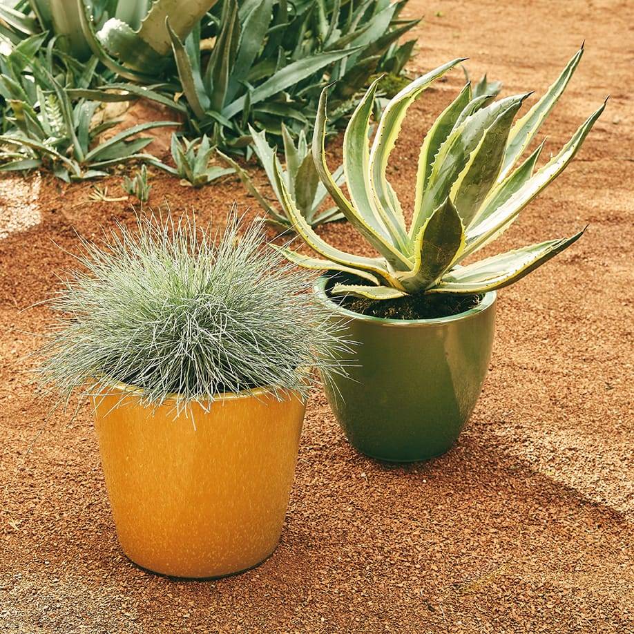 Ecloz - Pot émaillé Bahia 22 cm - plusieurs coloris - ECLOZ - Image 9