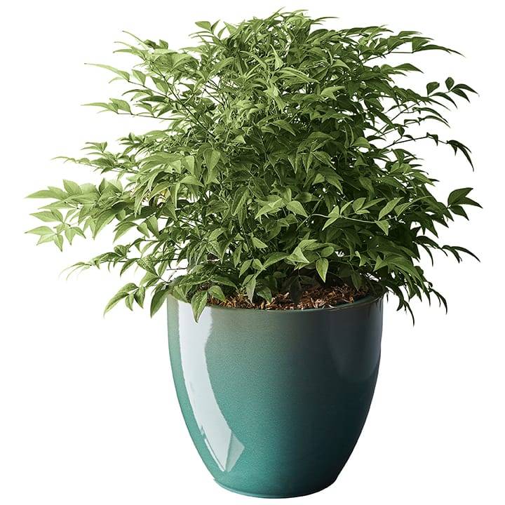 Ecloz - Pot émaillé Bahia 22 cm - plusieurs coloris - ECLOZ - Image 14
