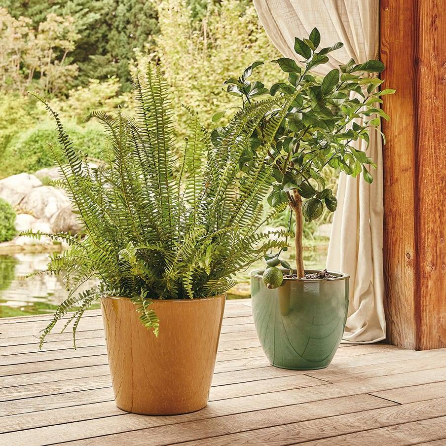 Ecloz - Pot émaillé Bahia 22 cm - plusieurs coloris - ECLOZ - Image 13