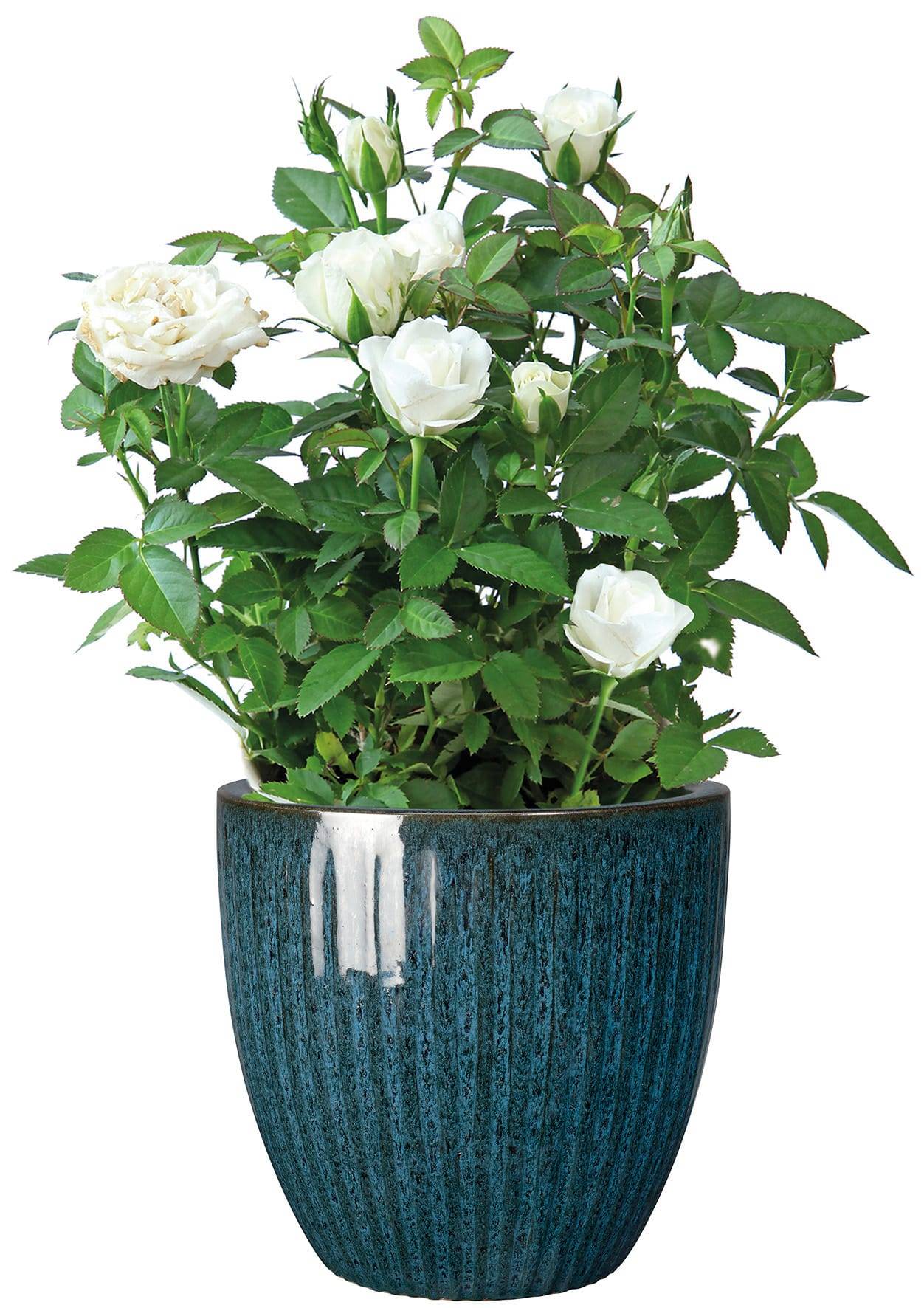 Ecloz - Pot émaillé Atlantique 22 cm - plusieurs coloris - ECLOZ - Image 4