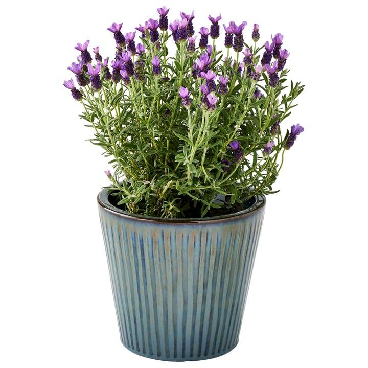 Ecloz - Pot émaillé Atlantique 22 cm - plusieurs coloris - ECLOZ - Image 16