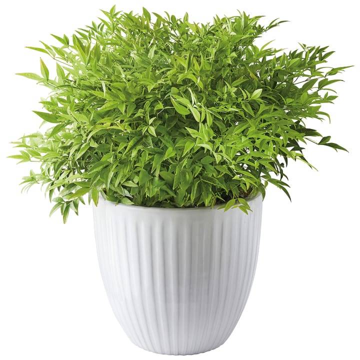 Ecloz - Pot émaillé Atlantique 22 cm - plusieurs coloris - ECLOZ - Image 13