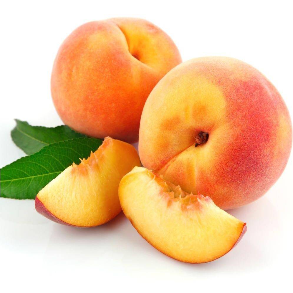 Pêcher de balcon 'Peach Me Yellow' - Fruit Me® - Image 2