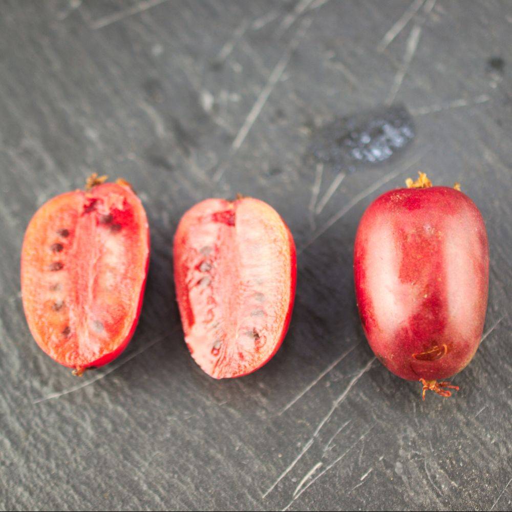 Kiwaï ou Kiwi arguta 'Ken's Red' (Femelle) - Image 1