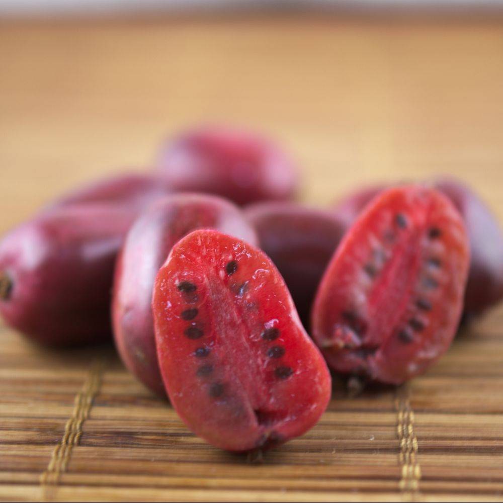 Kiwaï ou Kiwi arguta 'Ken's Red' (Femelle) - Image 4