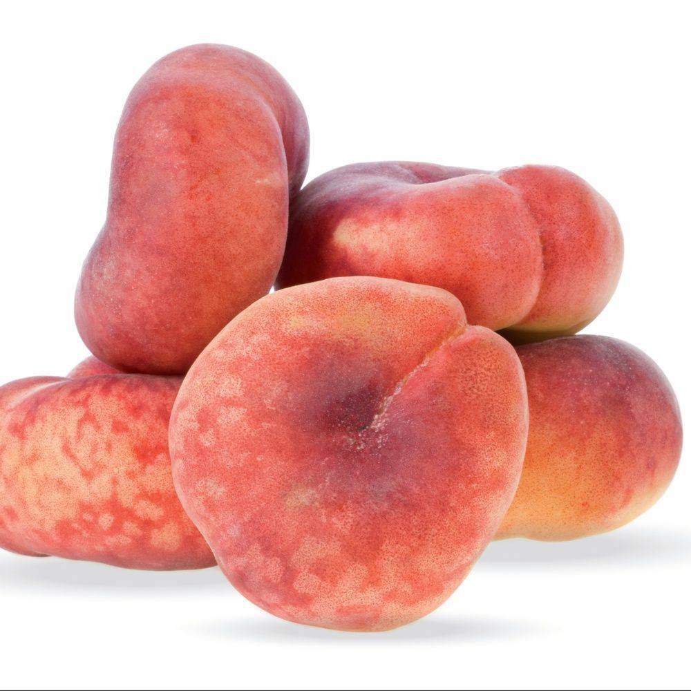 Pêcher de balcon à fruit plats 'Peach Me Donut'  - Fruit Me® - Image 1