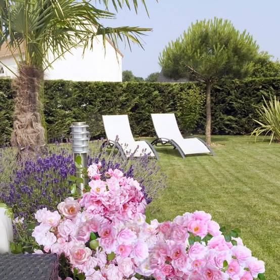 Rosier Décorosier® MAREVA® - Image 1