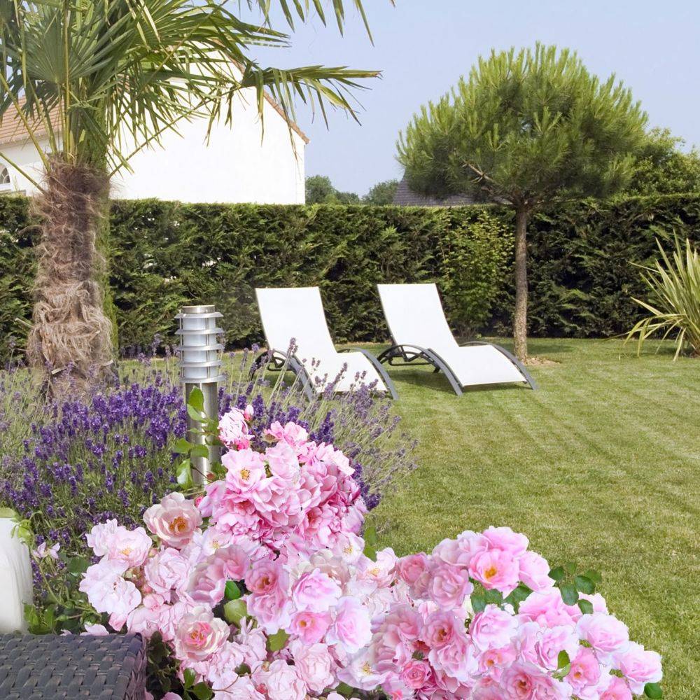 Rosier Décorosier® MAREVA® - Image 1