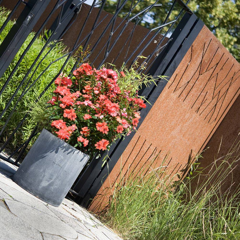 Rosier Décorosier® ISALIA®