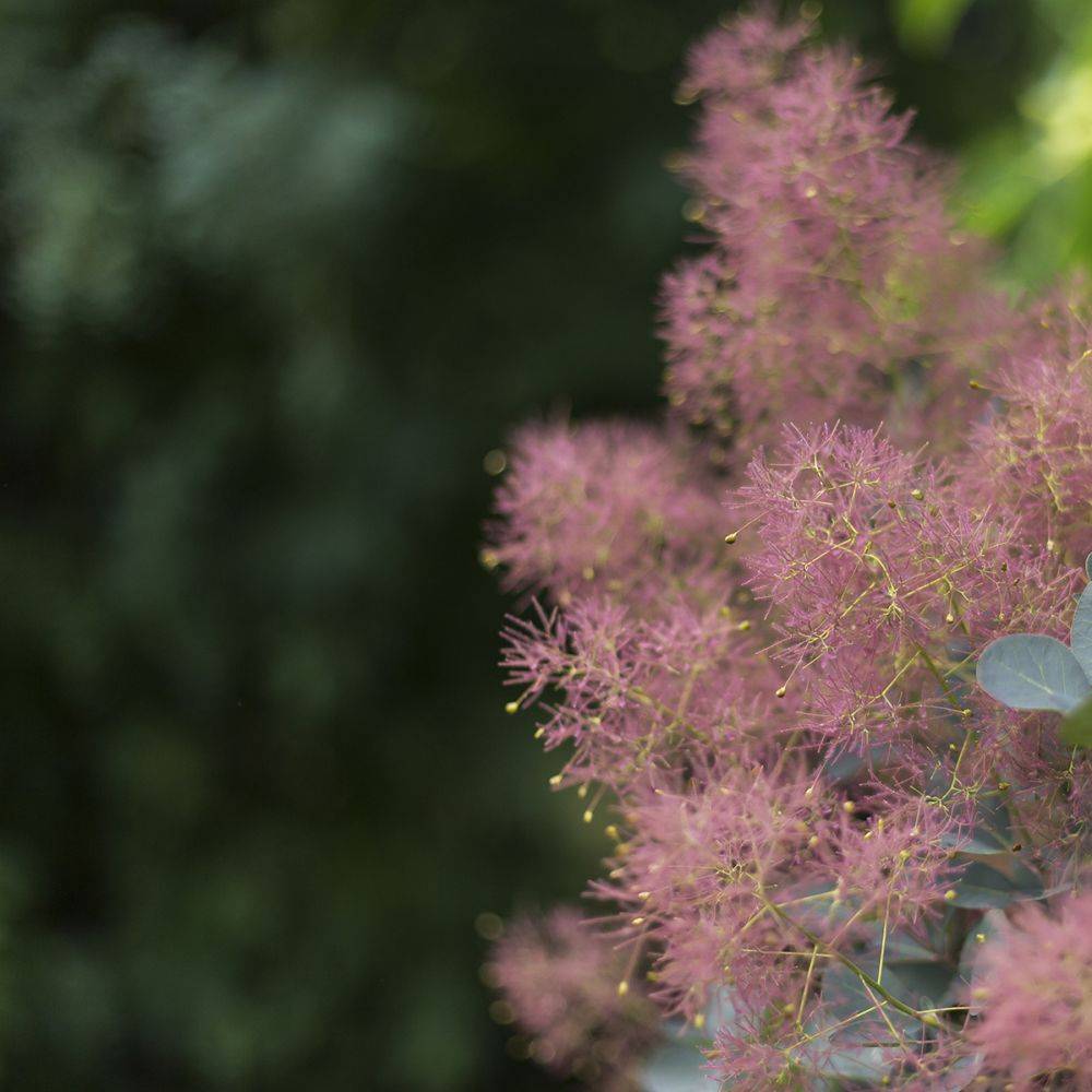 Arbre à perruques 'Grace' - Image 2