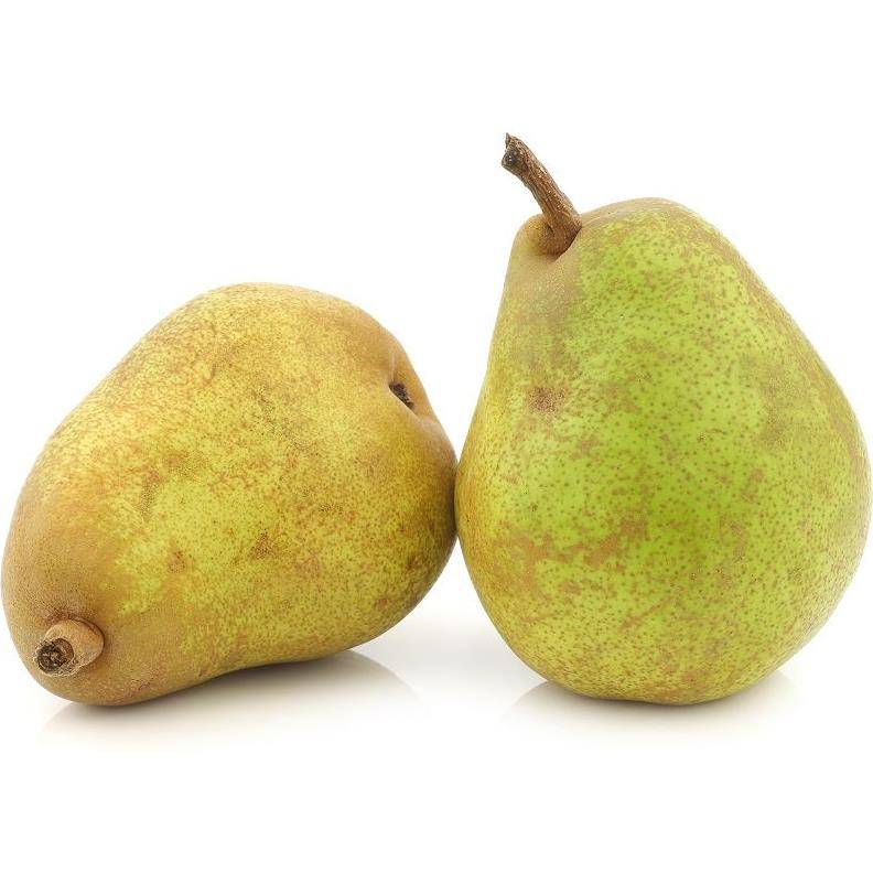 Kit de haie fruitière : 4 poiriers en cordon - Image 3