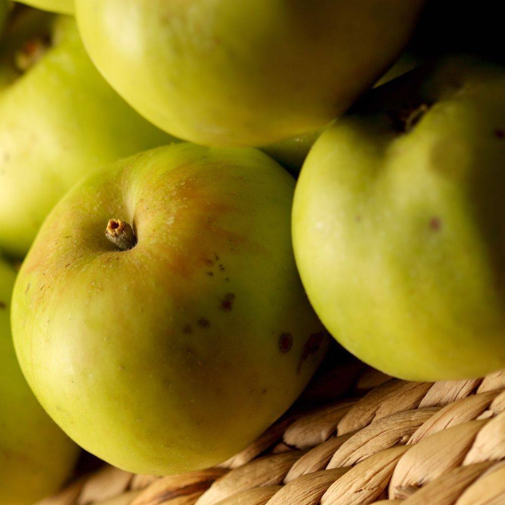 Kit de haie fruitière gourmande