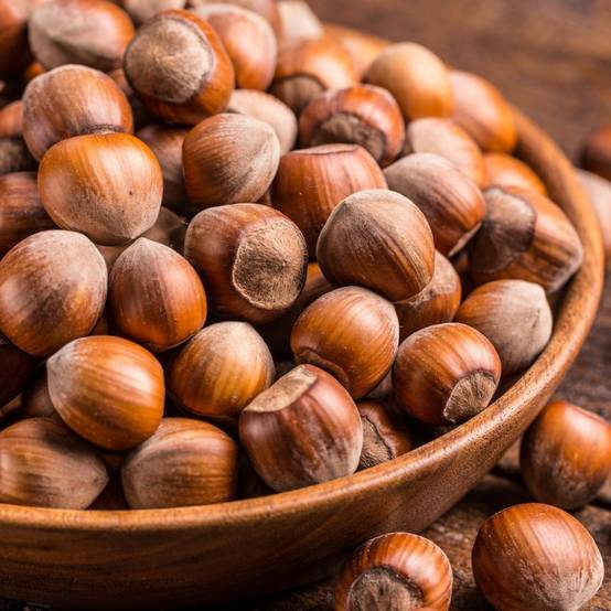 Kit de haie fruitière : 5 noisetiers variés - Image 5