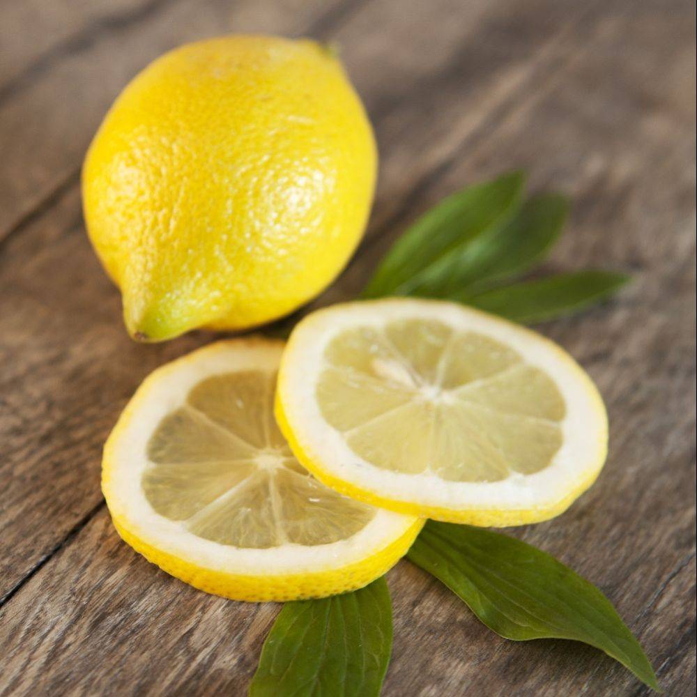 Citronnier 4 Saisons Bio - Image 2