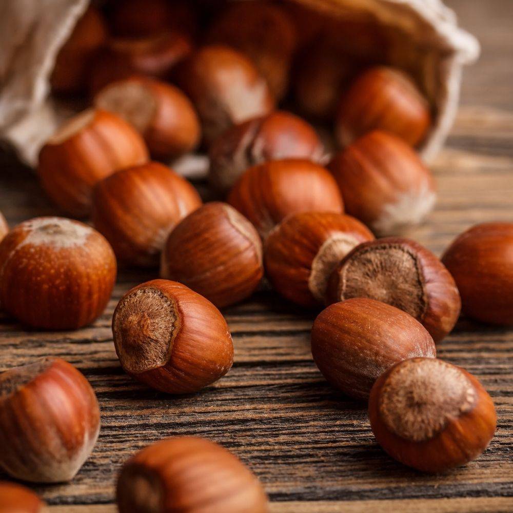 Kit de haie fruitière originale en racines nues - Image 9
