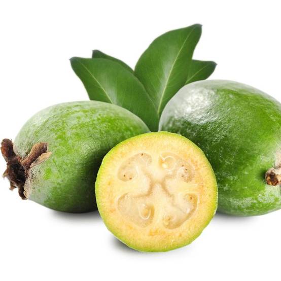 Goyavier du Brésil - Feijoa sellowiana - Image 5