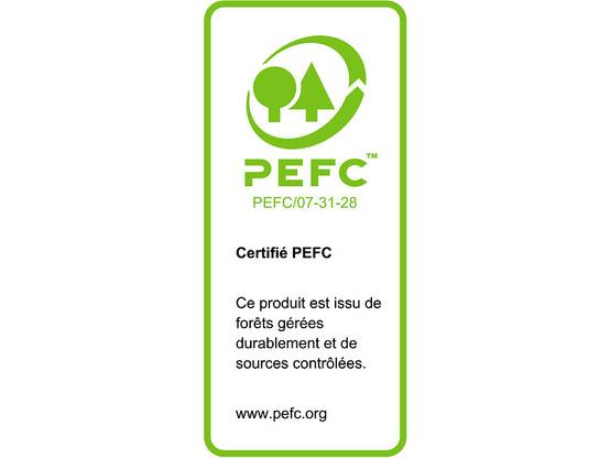 Decor et Jardin - Abri de jardin bois traité toit plat 6m² Pico Décor et Jardin - Image 3