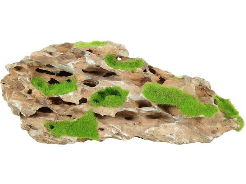 Pierre naturelle Glossostigma Taille S – ZOLUX