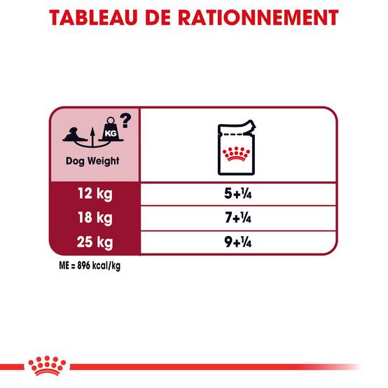 Royal Canin - Medium Ageing 10+ Nourriture Chien - ROYAL CANIN - Image 4